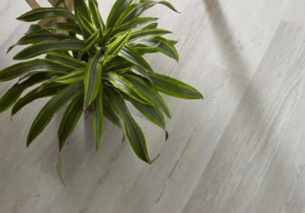 Laminate flooring | Off-Price Carpet Outlet